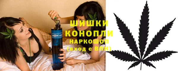 PSILOCYBIN Баксан