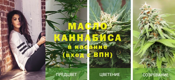 PSILOCYBIN Баксан